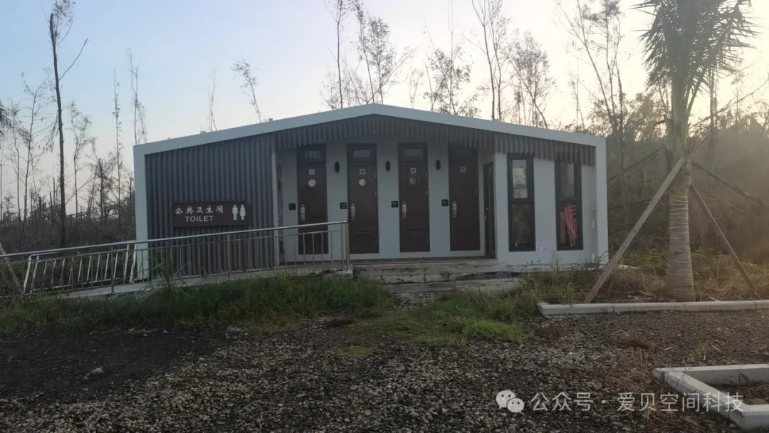 1774339867532087.jpg 世界厕所日5.jpg