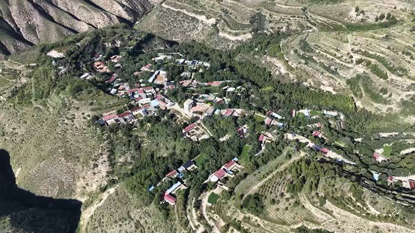 05.jpg